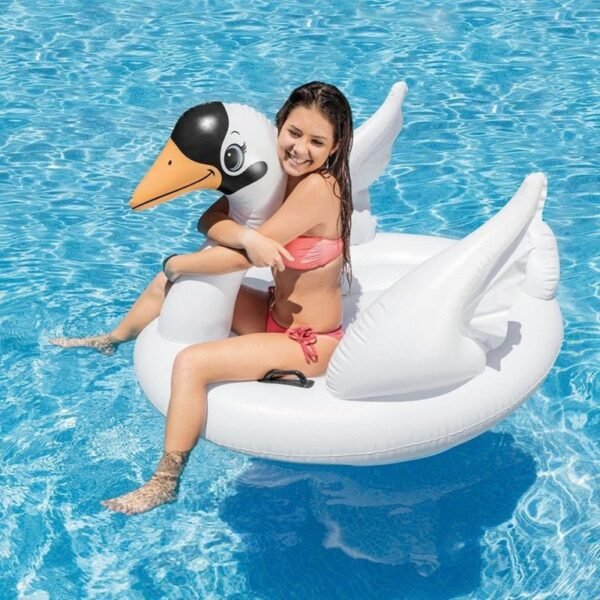 MONTABLE CISNE